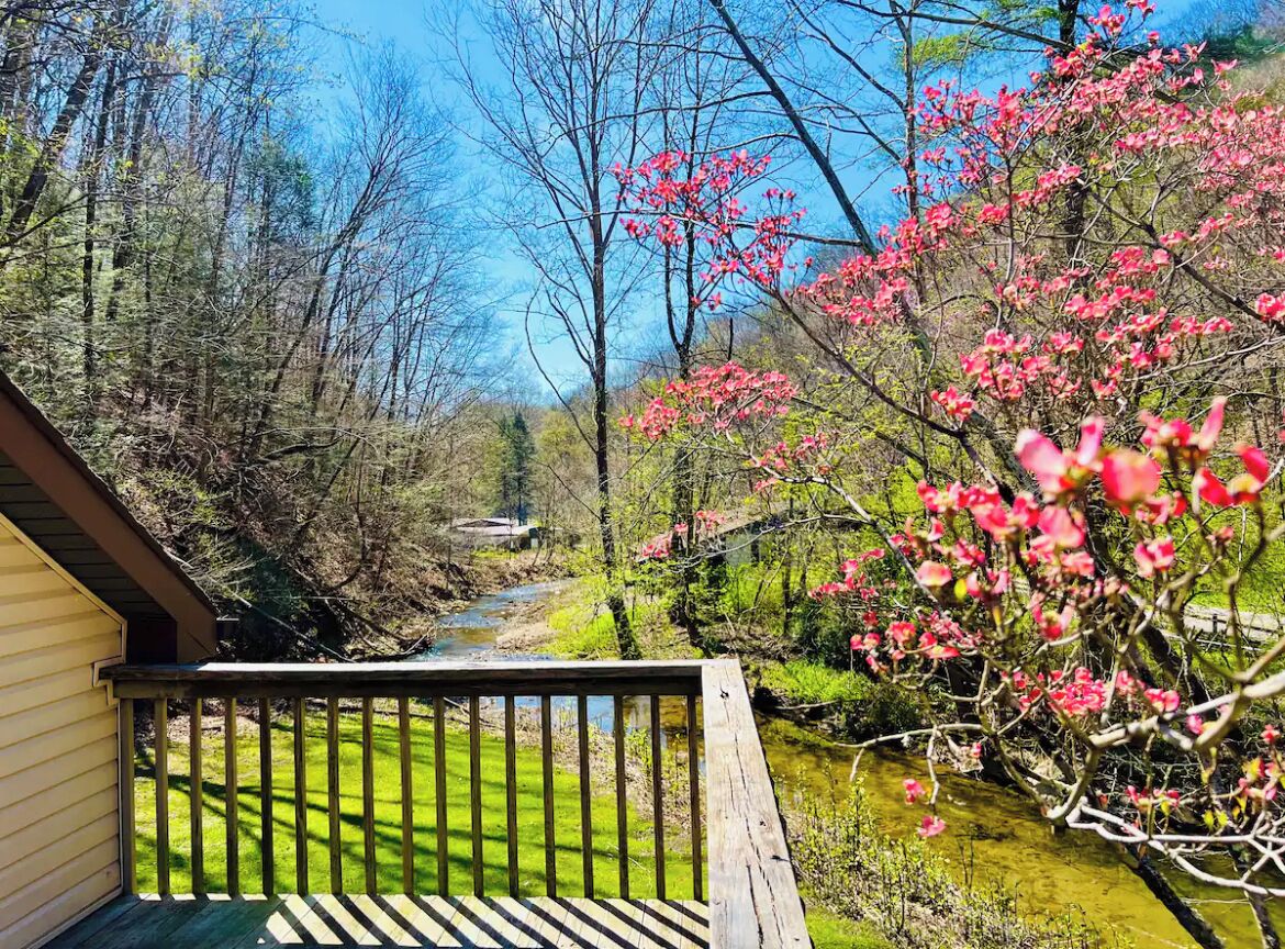 A wooden deck with a view of a stream and blooming trees.