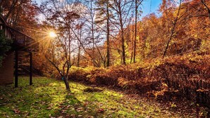 Un jardin doté d’une terrasse en bois et d’un mur en briques, entouré d’arbres aux feuilles d’automne.