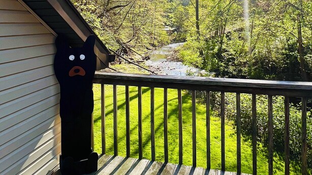 Une terrasse en bois dotée d’une rambarde, qui offre une vue sur une zone herbeuse et un ruisseau.