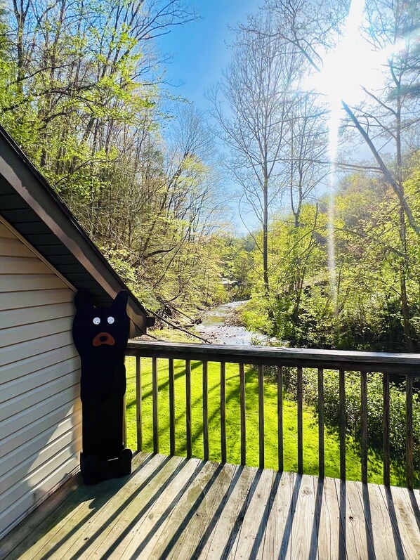 Property grounds - Cozy loft in private country setting 5 mins from downtown, Pet Friendly (Charleston)