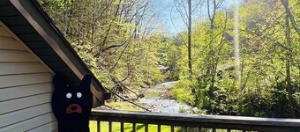 Cozy loft in private country setting 5 mins from downtown, Pet Friendly