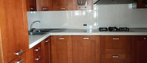 Fridge, oven, stovetop, dishwasher