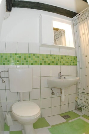 Appartamento | Bagno | Doccia, asciugacapelli, asciugamani