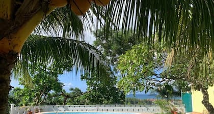 Explore Sesel from Naturalis: newly built, best ocean views, pool, lush gardens.