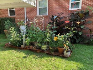 Property grounds - Safe and Quiet 900 sq ft GuestHouse (Pensacola)