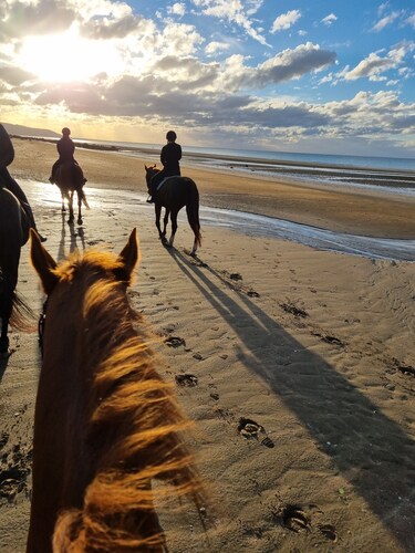 Jolie Maison à 3 min de la Plage et au Pied des Commerces