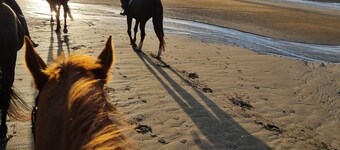 Jolie Maison à 3 min de la Plage et au Pied des Commerces
