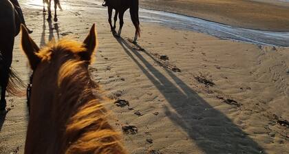 Jolie Maison à 3 min de la Plage et au Pied des Commerces
