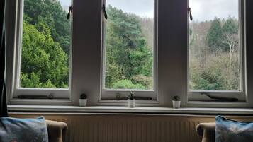Classic Room, Garden View | View from room