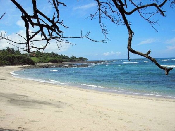 Ein Strand mit klarem, blauem Wasser, sandigem Ufer und kahl stehenden Bäumen.