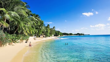 Camastros y toallas de playa