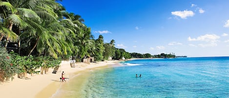 Chaises longues, serviettes de plage