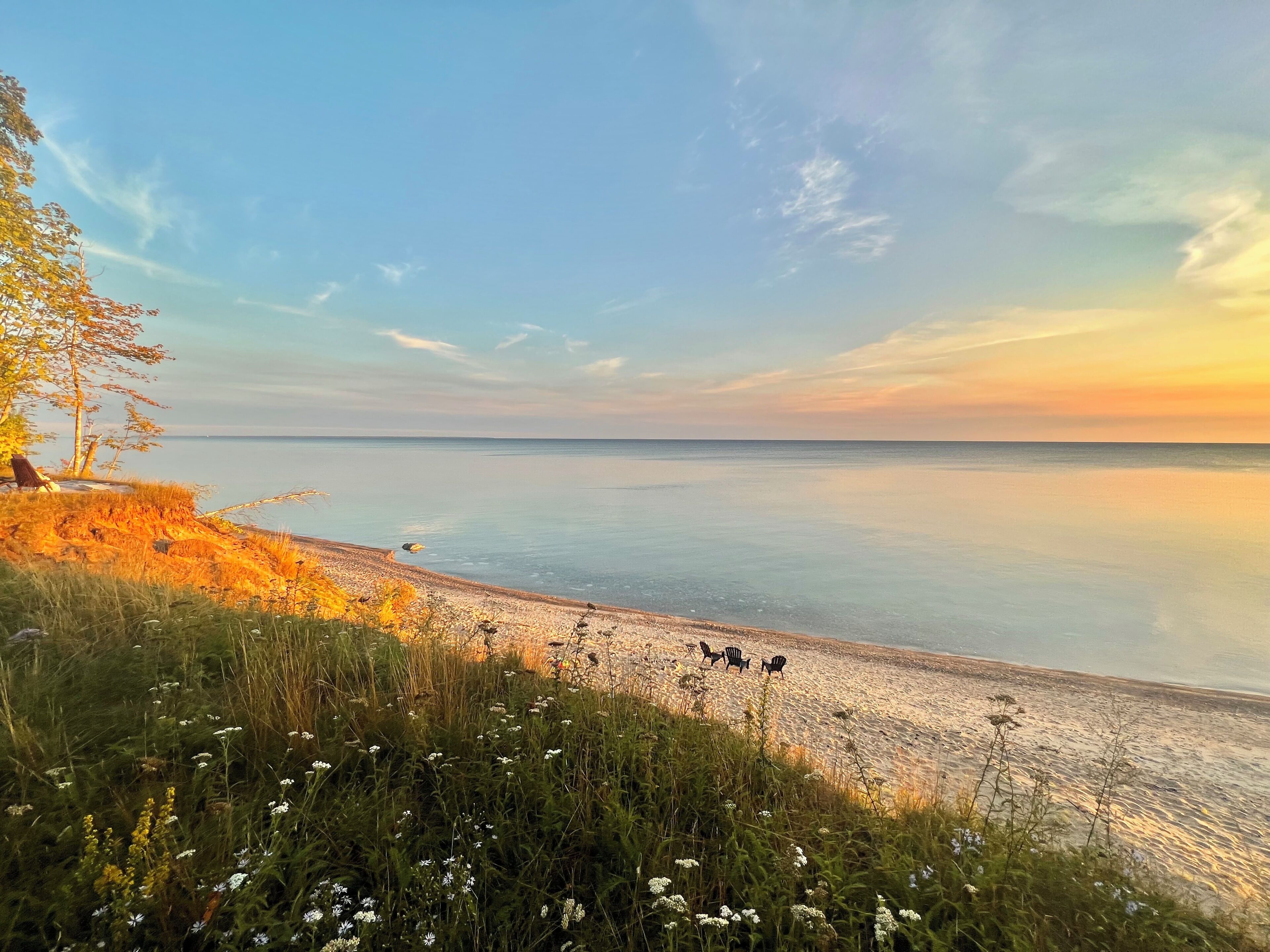 A beach with a clear sky, a few chairs, and wildflowers.