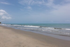 Playa en los alrededores 