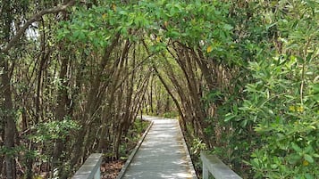 Overnattingsstedets uteområder