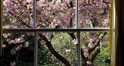 Flat in Amsterdam- Oost close to Oosterpark.