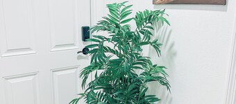 Brand new apartment, with a ocean theme! Less than 10 minutes away from Airport 