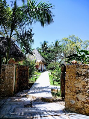 Property grounds - Casa Maya: Pool + Wifi-Starlink + Sustainability Tour (Colonia Guadalupe, Izamal, Yucatán, México)