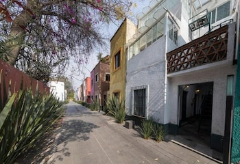 Departamentos Mi Querido Coyoacán