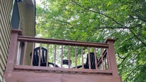 Una terraza de madera con barandilla, con vistas a un jardín con patio y césped.
