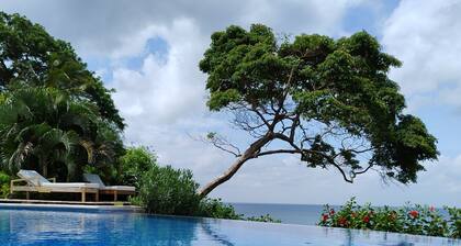 BEACHFRONT INFINITY POOL – DIRECT PRIVATE BEACH ACCESS – FOREST & TROPIC GARDENS