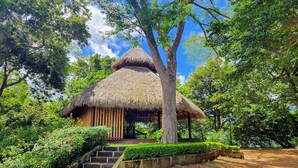 A thatched-roof hut surrounded by lush greenery and trees. - BEACHFRONT INFINITY POOL – DIRECT PRIVATE BEACH ACCESS – FOREST & TROPIC GARDENS (San Juan del Sur)
