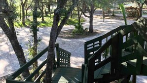 Unclassified image, 5 of 9, button - Real Florida Up Close! Family-friendly, Pet-friendly with private pool (Sarasota)