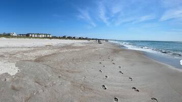 On the beach, sun loungers