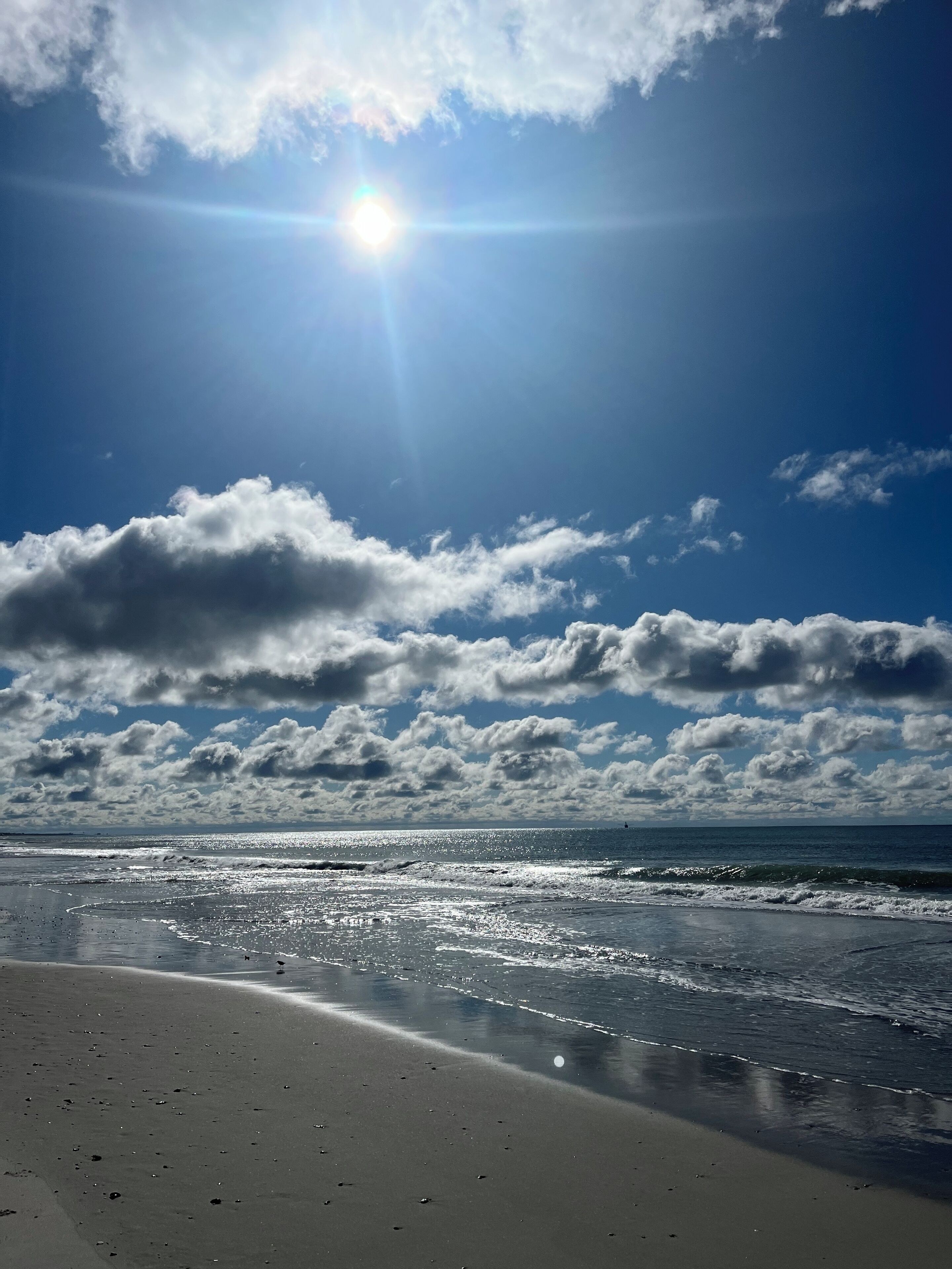 Plage, chaises longues