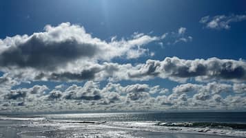 On the beach, sun loungers