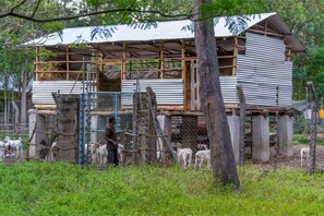 Exterior - Muthoki Country Lodge - Studio Cottage S1 (Machakos)