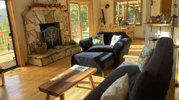 Smart TV, fireplace, books