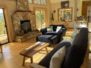 Smart TV, fireplace, books