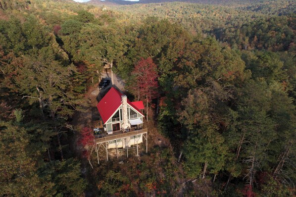 Vue aérienne d’une cabane au toit rouge, entourée d’une forêt dense.