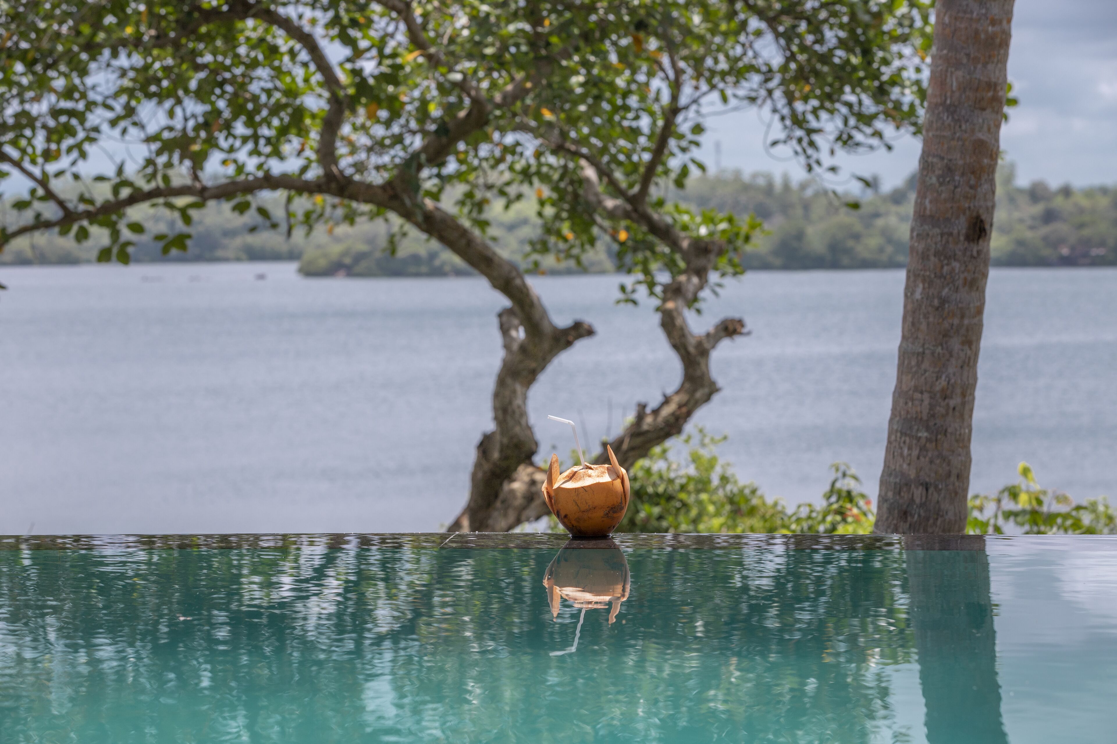Une piscine à débordement bordée de coquilles de noix de coco et de paille, entourée d’arbres et d’une étendue d’eau.