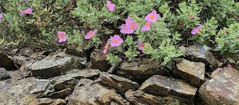 Les Hortensias de Jeanne, Maison de Campagne au Pied du Massif du Caroux
