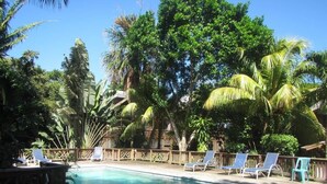 A swimming pool with lounge chairs and tropical trees. - BEACHFRONT CASITA Snorkel & explore this amazing reef~ Experience Caribbean Life (Sandy Bay)