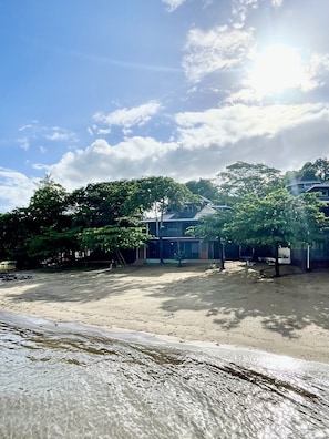 On the beach, sun loungers, beach towels - BEACHFRONT CASITA Snorkel & explore this amazing reef~ Experience Caribbean Life (Sandy Bay)