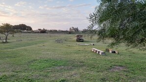 A grassy field with a wooden bench, a small structure, and a vehicle in the distance.