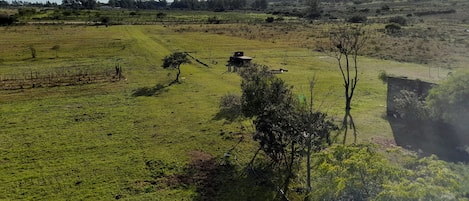 Un paysage rural avec un petit bâtiment, des champs ouverts et quelques arbres dispersés.