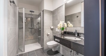 Premium Room, 1 Double Bed (Converts to 2 Twin Beds) | Bathroom | Shower, rainfall showerhead, hair dryer, bathrobes