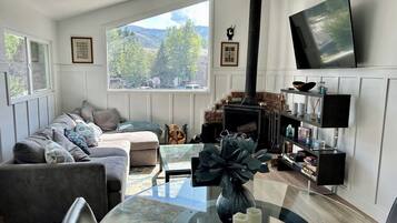 Smart TV, fireplace, books