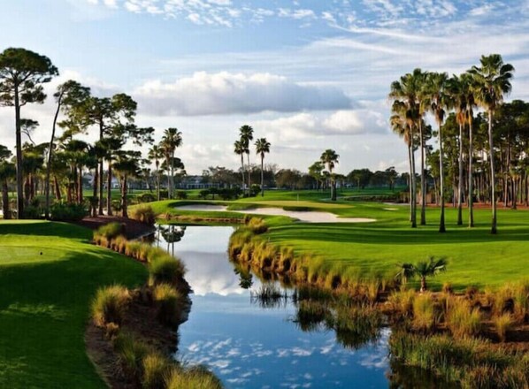 A golf course with a pond, palm trees, and a clear sky.