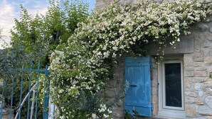 En bygning i sten med et vindue med blå skodder, en blå port og hvide blomsterklædte slyngplanter.