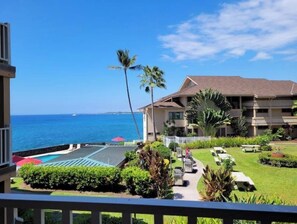 Un hôtel doté d’une piscine, de palmiers et offrant une vue sur l’océan.