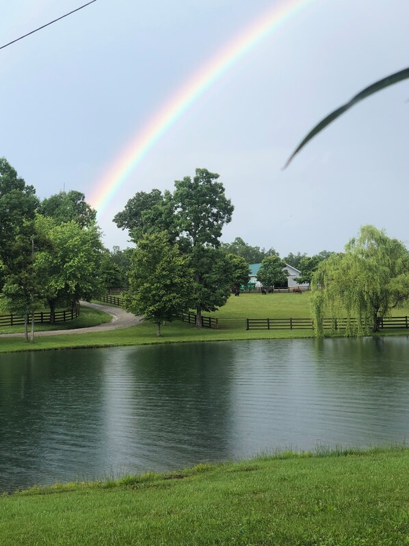 Interior - MuddyPond Campground is a beautiful,and peaceful,relaxing place, <br> (Monterey)