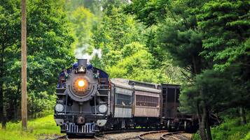 A steam locomotive pulling freight cars through a forested area.