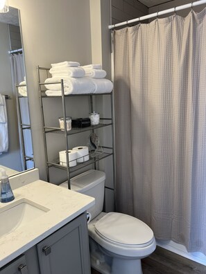 Hair dryer, towels, soap, shampoo - All Things Auburn, Walkable to Campus and University Related Activities! (Auburn)
