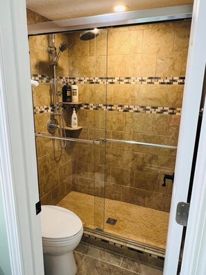 Hair dryer, towels, soap, shampoo