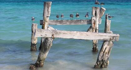 2-BR Haus in Puerto Morelos mit atemraubendem Blick